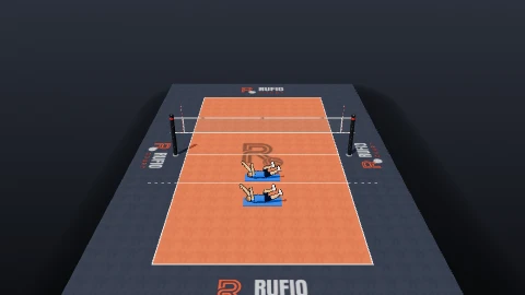 Dead bug on the 3D court