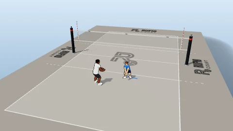 Point and shuffle on the 3D court