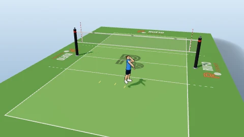 Approach steps in the yard on the 3D court